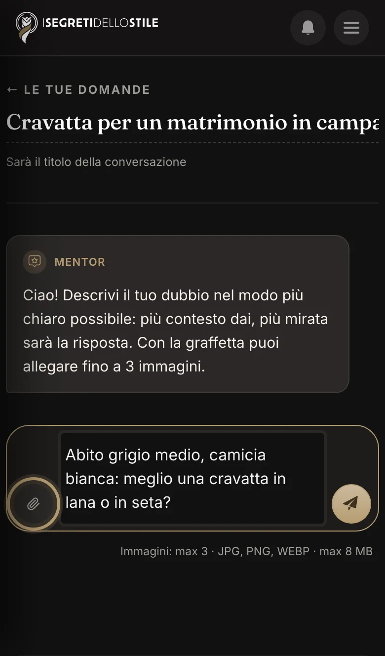 Dal telefono: l'oggetto in alto, la domanda in basso e, accanto, la graffetta per allegare le foto